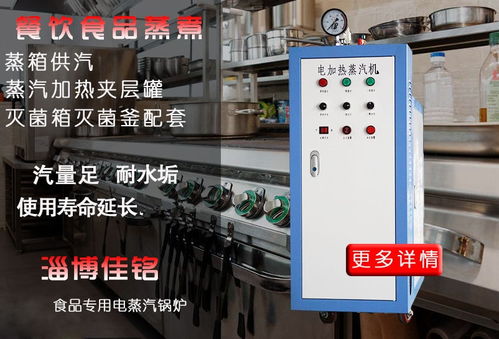 餐飲食品行業(yè)專(zhuān)用電蒸汽鍋爐108kw